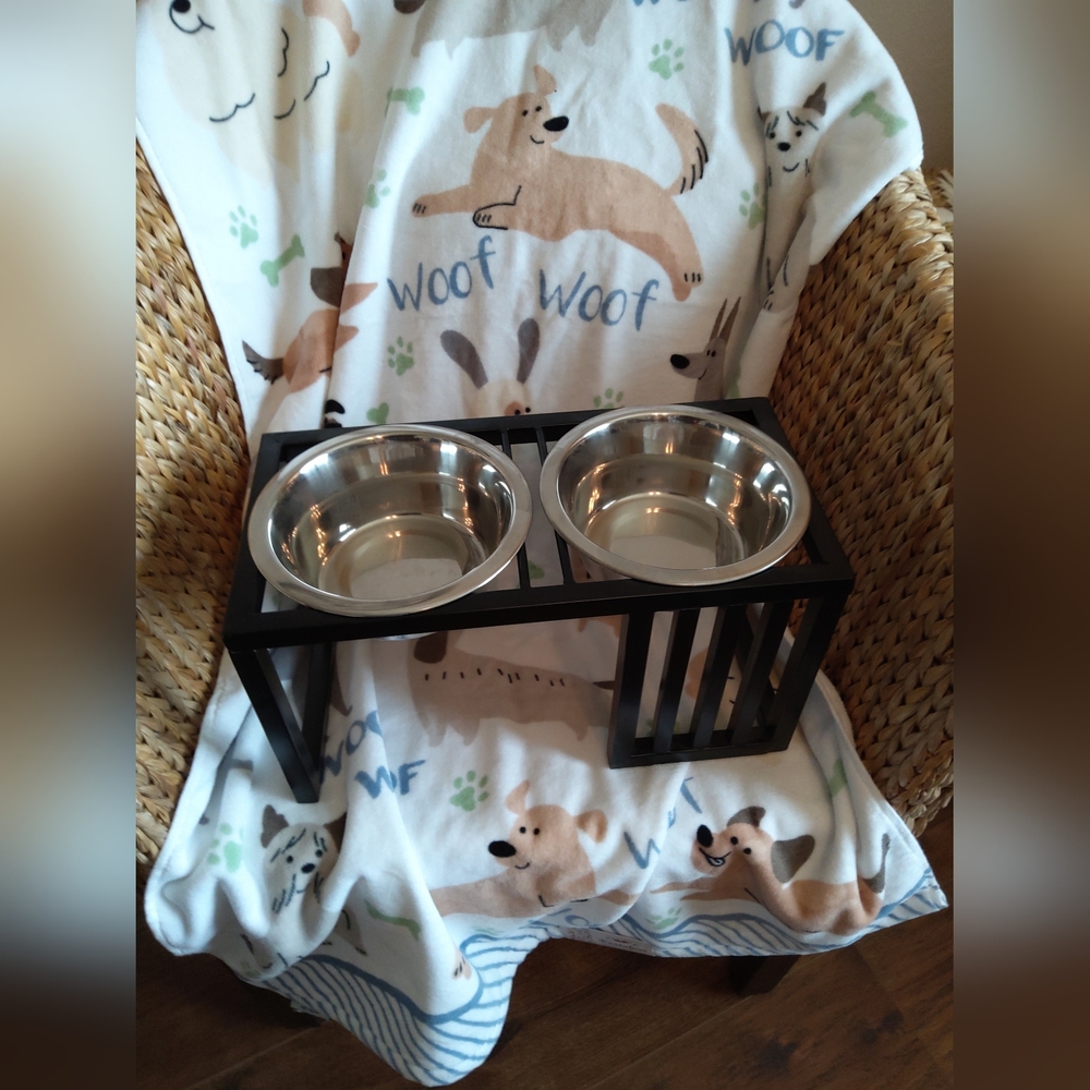 Double Stainless Steel Pet Bowls with Black Stand